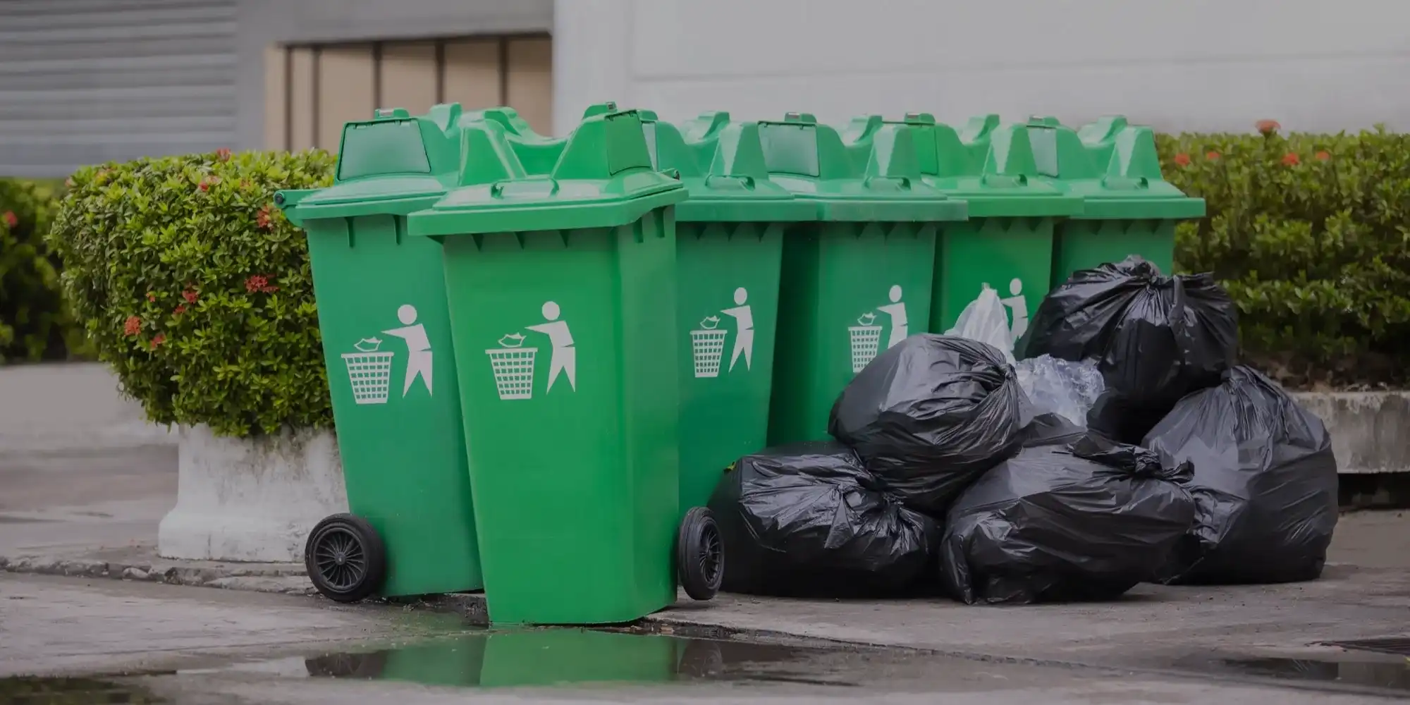 Professional Junk Removal Services Professional Junk Removal Services